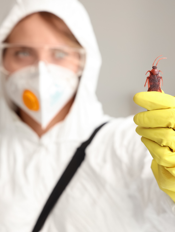 Haşere Kontrol Hizmetleri